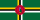 DM flag